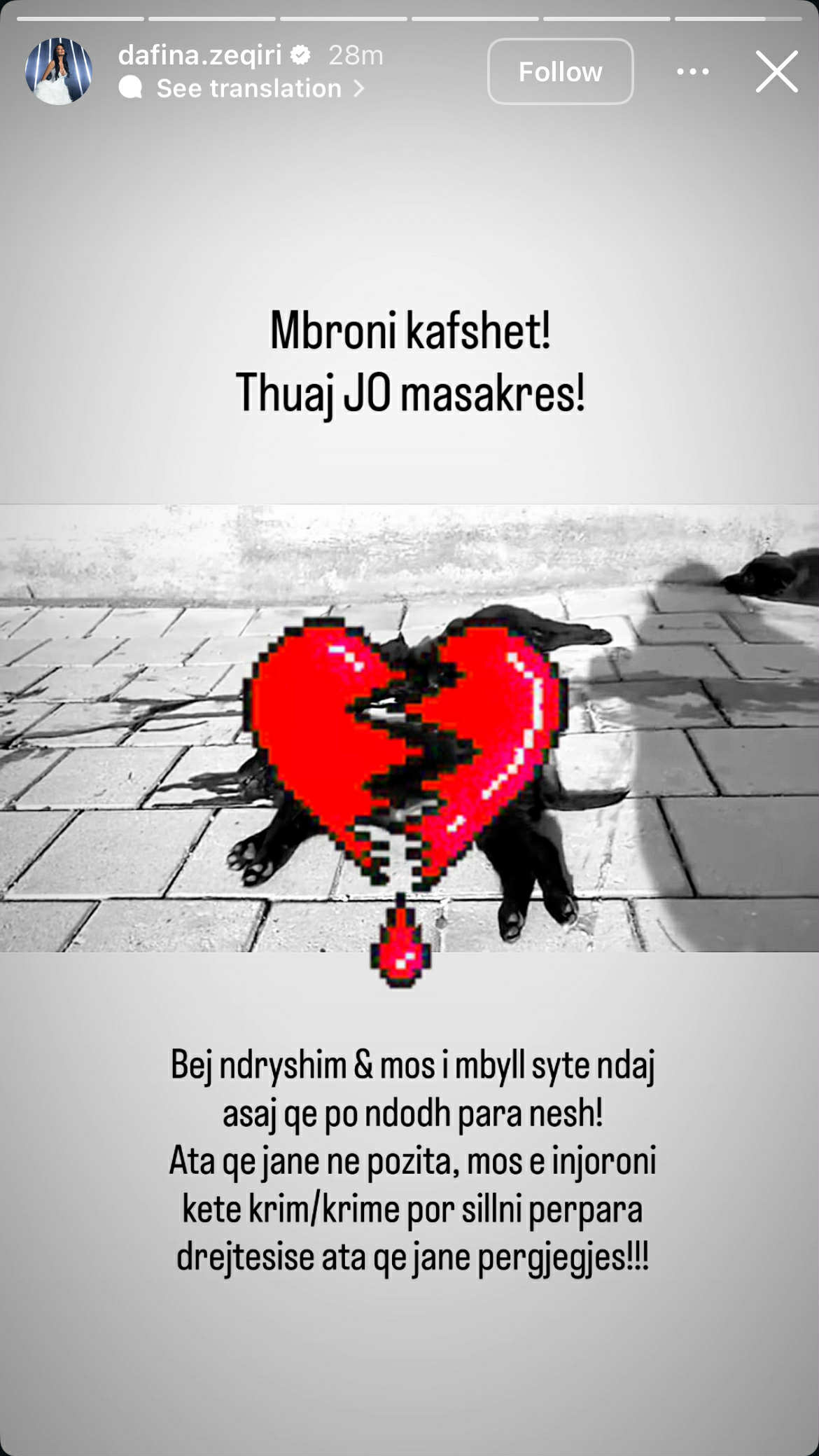 Qentë endacakë mbyten brutalisht në Prishtinë  reagon Dafina Zeqiri